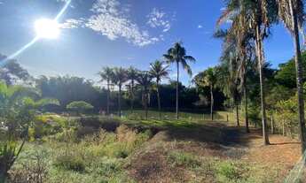 Imagem: Excelente Chácara de 6,5 Hectares no Santos