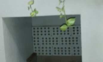 Imagem 7: Apartamento à venda, Espinheiros, Itajaí, SC