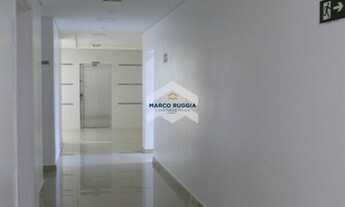 Imagem 6: PIRACICABA - Padrão - Paulista