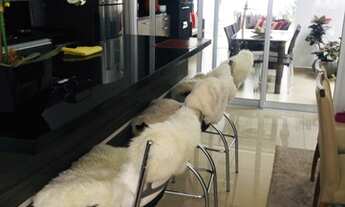 Imagem: Estuda permuta por casa de menor valor em