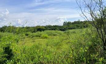 Imagem 3: Linda ares de 15 hectares