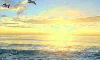 Imagem: Terra de Areia - Terreno Padrão - Novo