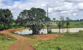 Imagem 12: Fazenda no Pará - Santa Maria - 312 ha (64 alq