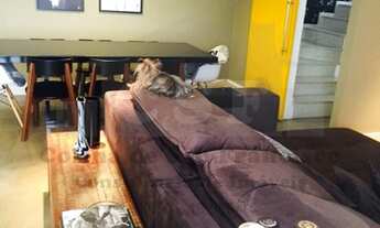 Imagem 6: Cobertura de 188m² 2 dormitórios Vila São Francisco