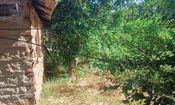 Imagem 4: Lote Sítio novo do Tocantins