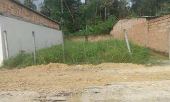 Imagem 2: VENDO TERRENO NA AM 010