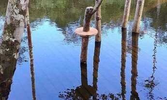 Imagem 3: Sítio - chácara - piscicultura