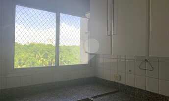 Imagem 7: Araçatuba - Apartamento Padrão - Vila Santo Antônio