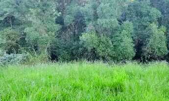 Imagem 2: 03a-PPFI20 Terreno / lote com venda por R$90.000