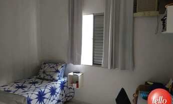 Imagem 5: São Paulo - Casa Padrão - Cachoeirinha