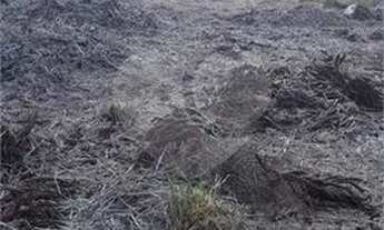 Imagem 5: Porto Alegre - Terreno Padrão - CRISTO REDENTOR