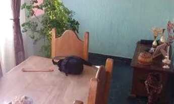 Imagem 3: Casa com 3 dormitórios à venda, 180 m² por R$ 1.250.000,00 - Saúde - São Paulo/SP