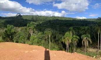 Imagem 4: Vendo meu terreno de 1000m2