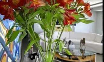 Imagem 4: Aluga-se Apartamento de luxo alto padrão Beira Mar de Boa Viagem