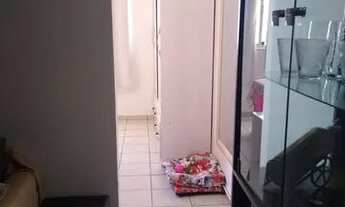 Imagem 4: Apartamento - Centro - Campinas