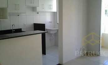 Imagem 5: Apartamento - Jardim Nova Europa - Campinas