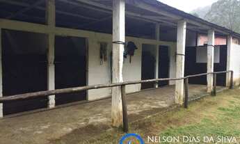 Imagem 3: Lindo Sítio unindo conforto com renda!