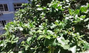 Imagem 6: Apartamento para aluguel possui 130 metros quadrados com 3 quartos