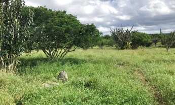 Imagem 2: Excelente Fazenda em Sapeaçu com 150 TA