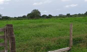 Imagem 6: Fazenda a venda em Cocalinho - MT