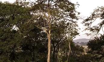 Imagem 5: Residencial Madri em Mairinque / Terreno em condominio 1000m2