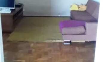 Imagem 7: CASA TÉRREA - JARDIM BRASILÂNDIA - SP