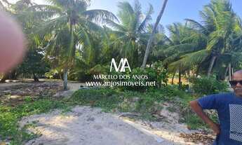 Imagem 2: ÁREA BEIRA-MAR 23×500 PRAIA DE PONTA DE MANGUE EM MARAGOGI AL