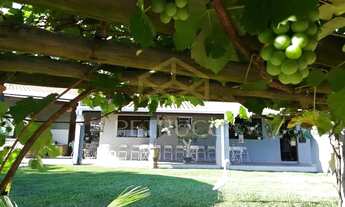 Imagem 2: Sítio - Parque dos Trabalhadores - Artur Nogueira