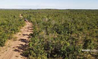 Imagem 7: Fazendas em Tocantins