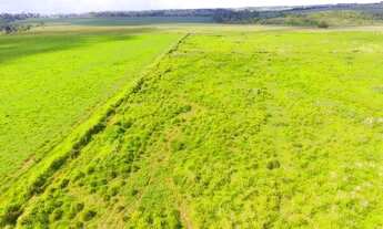 Imagem 2: Fazenda - Bairro Linha 7 Novo Mundo