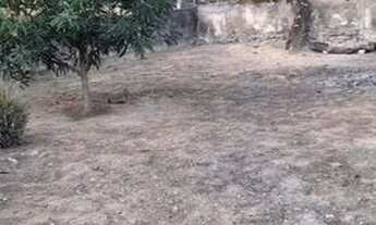 Imagem 2: Vendo casa em Nova Venecia