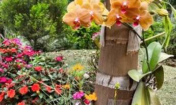 Imagem 6: Brumadinho - Casa Padrão - Casa Branca