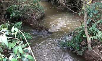 Imagem 4: Terreno com muita água