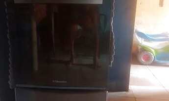 Imagem 2: EIectroIux Apartamento com 3 dormitórios