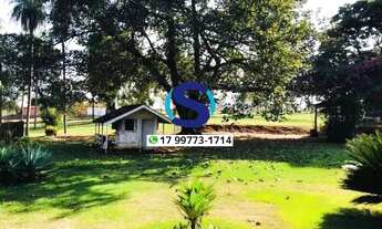 Imagem 3: Vende-se sítio de 8,5 alqueires em Indiaporã- SP