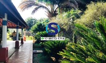 Imagem 7: Vende-se sítio de 8,5 alqueires em Indiaporã- SP