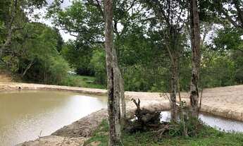 Imagem: Chácara com tanque de peixe