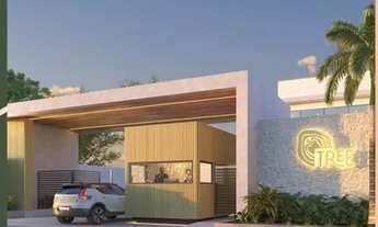 Imagem 2: Tree Residence - Ananindeua - Casa com 3 ou 4 quartos