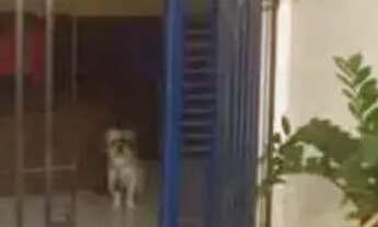 Imagem: 01- Casa no Centro