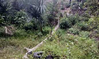 Imagem 3: Sítio 200 de largura por 1000 de fundo