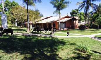 Imagem 4: ÓTIMO INVESTIMENTO A VENDA - FAZENDA | EVENTOS & TURISMO DE LUXO