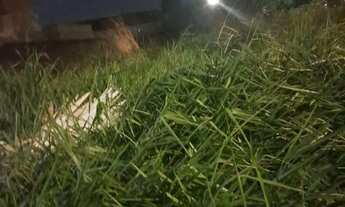 Imagem: Lote santa fé av cruzeiro do Sul goiania