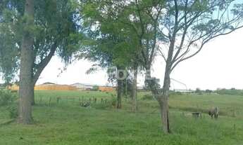 Imagem 2: Fazenda / Sítio / Chácara à venda Rua Orlando Caetano Chaves, Passo do Vigário - Viamão