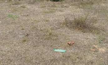 Imagem 4: Vendo terreno por 30 mil no Maiobão