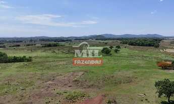 Imagem 4: Fazenda 450 alqueires (2.178 hectares) Crixás - Go