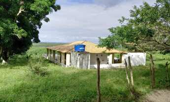 Imagem 3: Fazenda São João Evangelista &lt