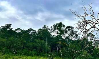 Imagem 6: Terreno em um Negócio Rentável e de Baixo Custo de Manutenção