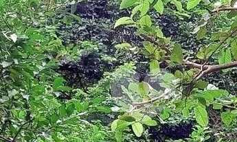 Imagem 3: Casa com 5 dormitórios à venda, 363 m² por R$ 1.850.000,00 - Grajaú - Rio de Janeiro/RJ