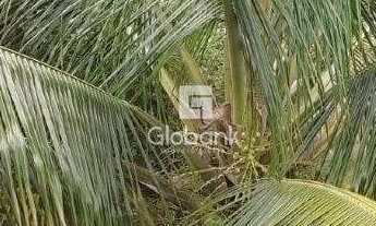 Imagem 9: Casa em Montes Claros, no bairro Santa Rita I, à venda