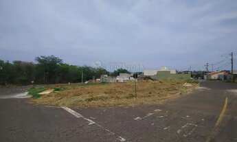 Imagem 2: Terreno Padrão em Bady Bassitt